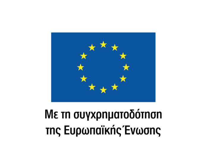 EU Logo
